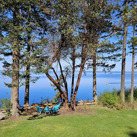 Eagles At The Bluff Cabin